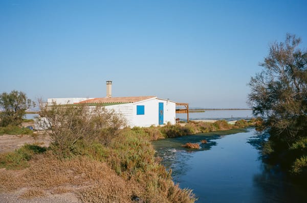 S4 : Comment prendre des bonnes décisions